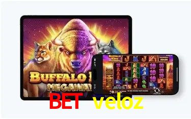 Explorando a Categoria de Eventos em Apostas na bet veloz
